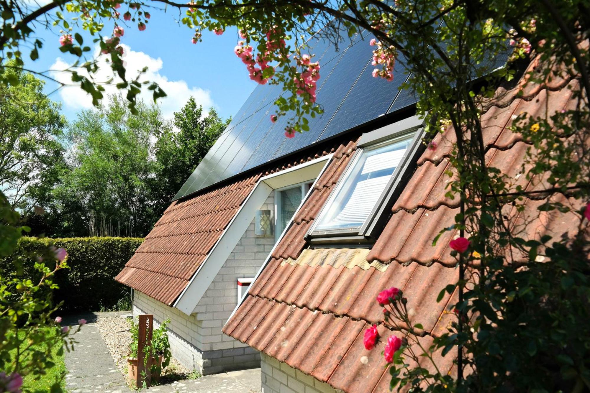 Urlaubsruhe 6 Pers Holiday Home W Terrace Close To National Park Lauwersmeer Anjum Exteriér fotografie